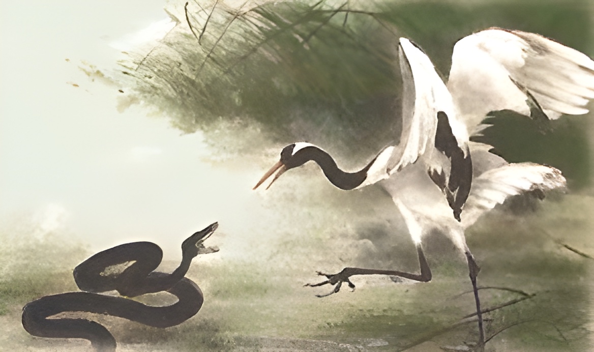 Historia Tai chi chuan